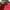 Nike Vintage Sweatshirt Pria red photo 4