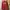 Nike Vintage Sweatshirt Pria Red