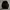 Carhartt Spellout  photo 1