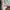 Authentic official boneka pokemon  photo 3