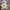Authentic official boneka pokemon  photo 4