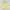 Yellow Floral Pattern Crop Top photo 1