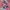 Adidas Sportswear Jumpsuit Wanita Pink Blue