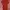 Burberry Casual Shirt Dress Wanita Red