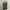 Jumpsuit Leopars Mango Animal Print photo 2