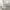 Uniqlo Streetwear Casual Polo shirt Pria multicolor white photo 7