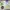 natural amethyst tipaz citrine prasiolite peridot garnet 6pc photo 5