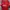 Jersey Home Manchester United 2023/2024 photo 1