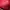 Jersey Home Manchester United 2023/2024