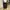 [WKNDRS KING PANTS] Baggy Pants photo 2