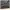 Crewneck Topten 3 warna photo 2