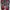 Sepatu Sneakers Sport Running Casual Nike Air Max Plus TN photo 7