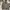 AVIREX BOMBER JACKET ARMED FORCES  JACKET photo 1