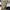 AVIREX BOMBER JACKET ARMED FORCES  JACKET photo 6