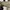 AVIREX BOMBER JACKET ARMED FORCES  JACKET photo 7
