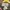 AVIREX BOMBER JACKET ARMED FORCES  JACKET photo 5