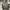 AVIREX BOMBER JACKET ARMED FORCES  JACKET photo 2