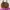 Tas Michael kors original satchel size 21 photo 2