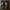 VANS Authentic UY KIDS photo 3