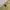 y2k big pocked photo 6