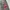 y2k big pocked photo 8