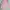 Fairy Coquette Kids Pink