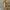 Charlotte Tilbury Hollywood Flawless Filter photo 1