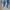 Vans Streetwear Casual Sneakers Wanita white blue photo 7