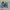 Vans Streetwear Casual Sneakers Wanita white blue photo 6