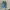 Vans Streetwear Casual Sneakers Wanita white blue photo 4