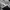 topi ross reels photo 5
