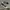 Converse Streetwear Casual Sneakers Pria white black photo 1