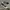 Converse Streetwear Casual Sneakers Pria White Black