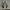 Converse Streetwear Casual Sneakers Pria white black photo 3