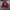 Urban Outfitters Streetwear Sweater Pria red photo 1