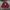 Urban Outfitters Streetwear Sweater Pria Red