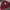 Urban Outfitters Streetwear Sweater Pria red photo 5
