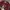 Urban Outfitters Streetwear Sweater Pria red photo 4