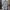 Kaos KANGOL Striped sallur colour white Size XL photo 1