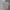 Kaos KANGOL Striped sallur colour white Size XL photo 2