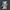 Salomon Sportswear Casual Sneakers Wanita blue photo 3