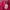 Hoodie Spider Sp5der Pink photo 2