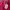 Hoodie Spider Sp5der Pink