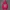 Hoodie Spider Sp5der Pink