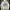 HOODIE LE COQ SPORTIF photo 2