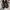 Dr martens adrian leroy dark brown photo 2