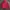 Snowbord jaket MLB yankes original trift photo 5