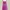 Pink Leopard photo 3