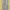 Longpants dickies women stretch photo 3