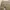 Carhartt carpenter long pants work photo 3